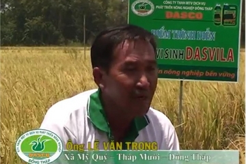 Hiệu quả phân vi sinh Dasvila